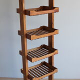 Store Display / Shelf