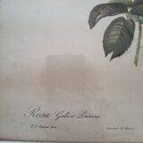 Dreaded pink engraving