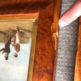 Set of six equestrian illustrations