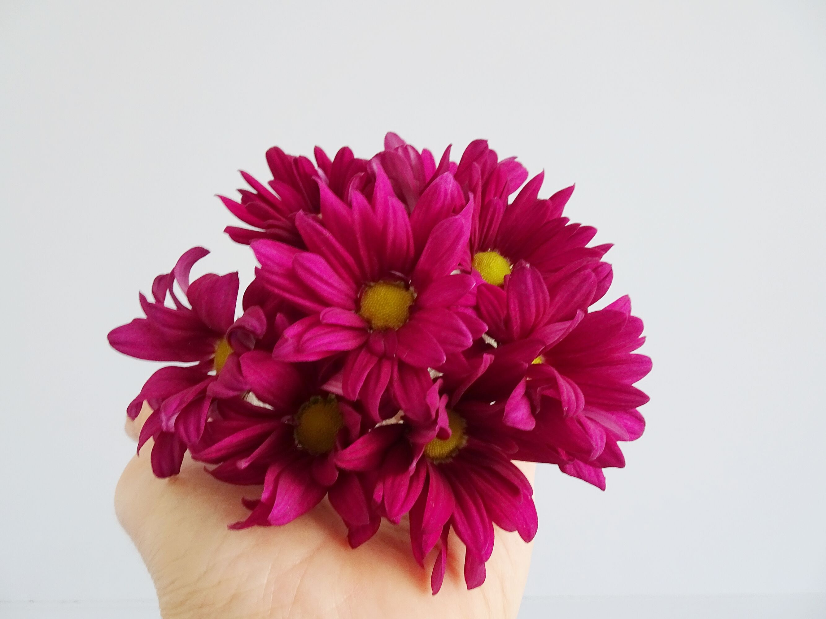 Pique fleur de verre VMC