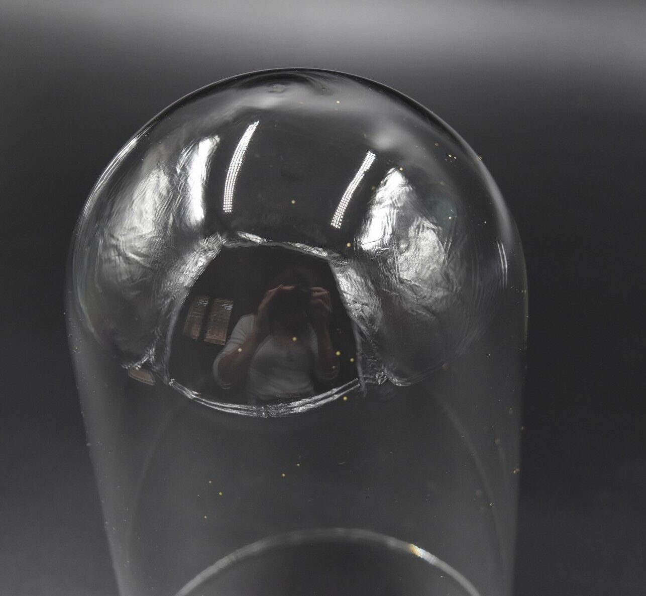 Glass bell globe for decoration cabinet of curiosity