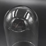 Glass bell globe for decoration cabinet of curiosity