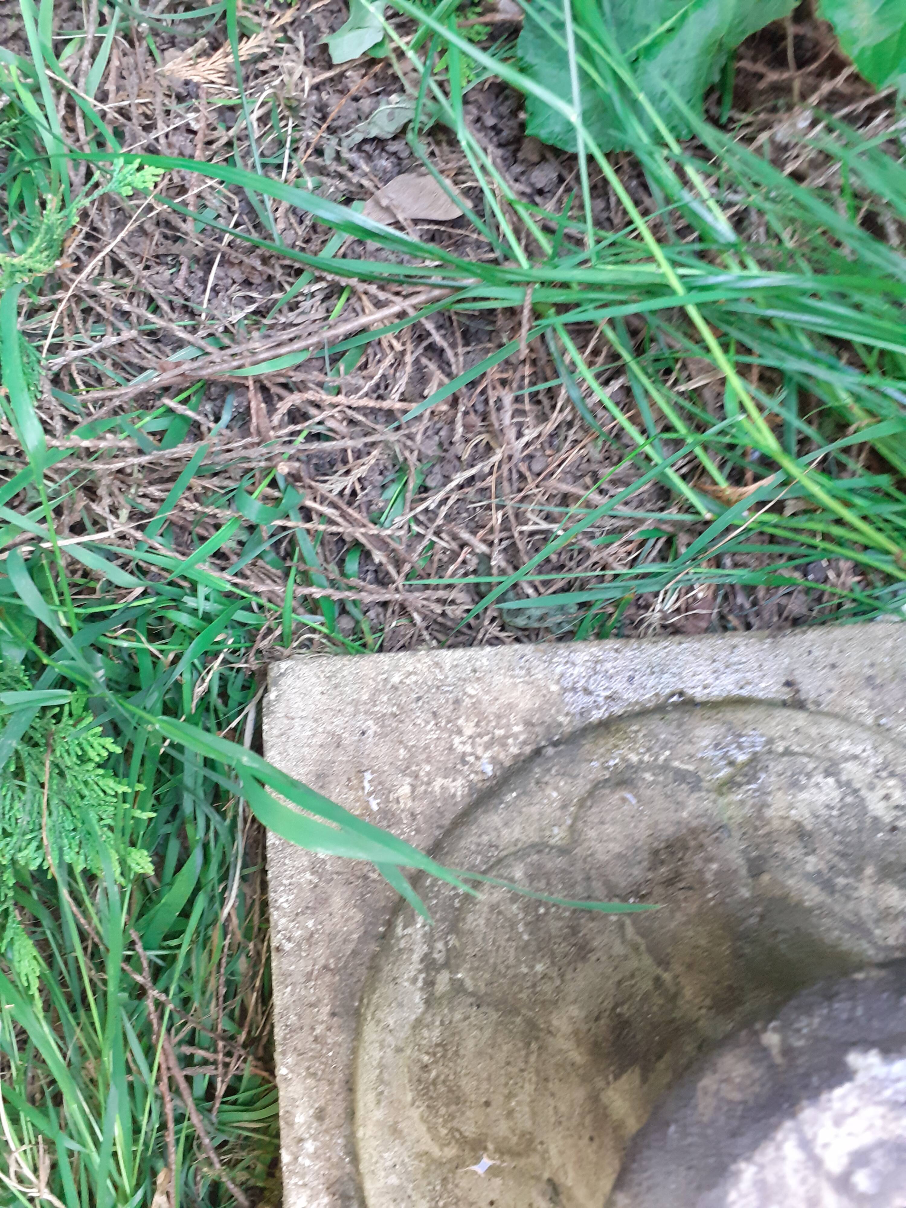 Pair of stone planter medicis