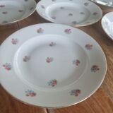 Set of 6 vintage plates