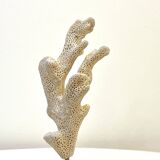 Branche de Corail blanc naturel ancien sur socle en bois cabinet de curiosités