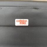 Pair of Cattelan Italy edition low chairs