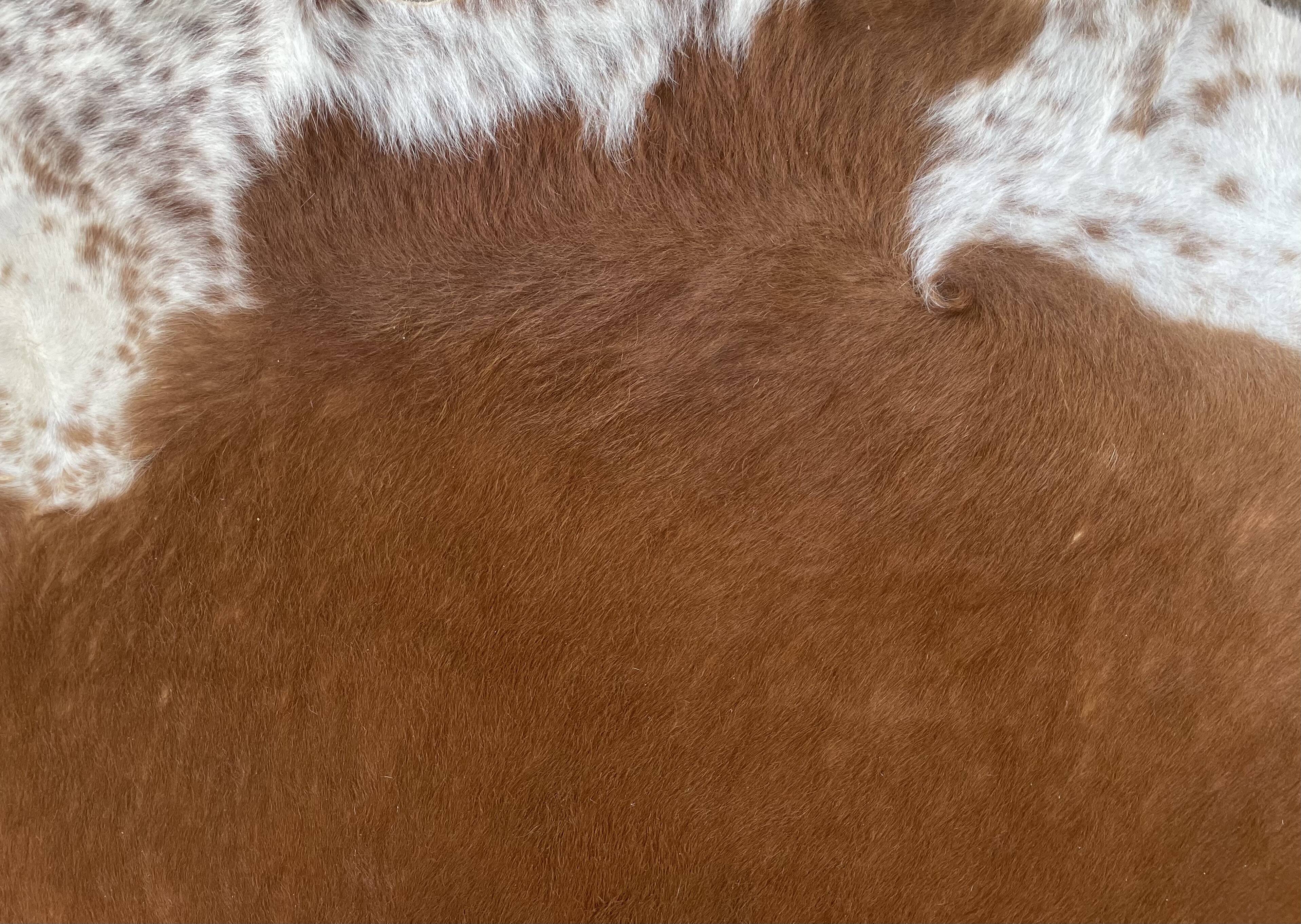 Brown and white cow rug