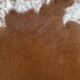 Brown and white cow rug