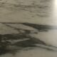 Tulip table by Eero Saarinen, Knoll edition