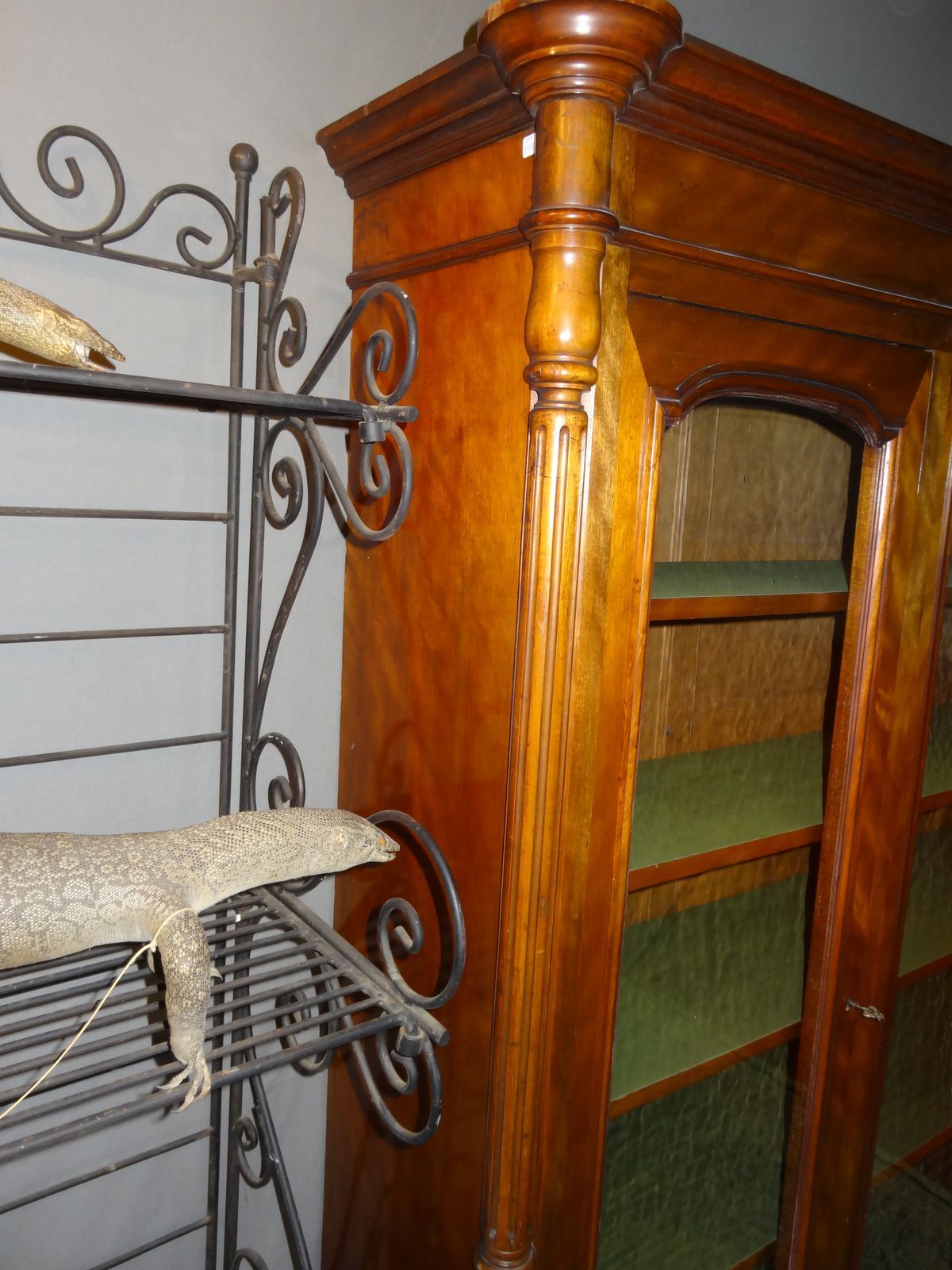 English bookcase 19th