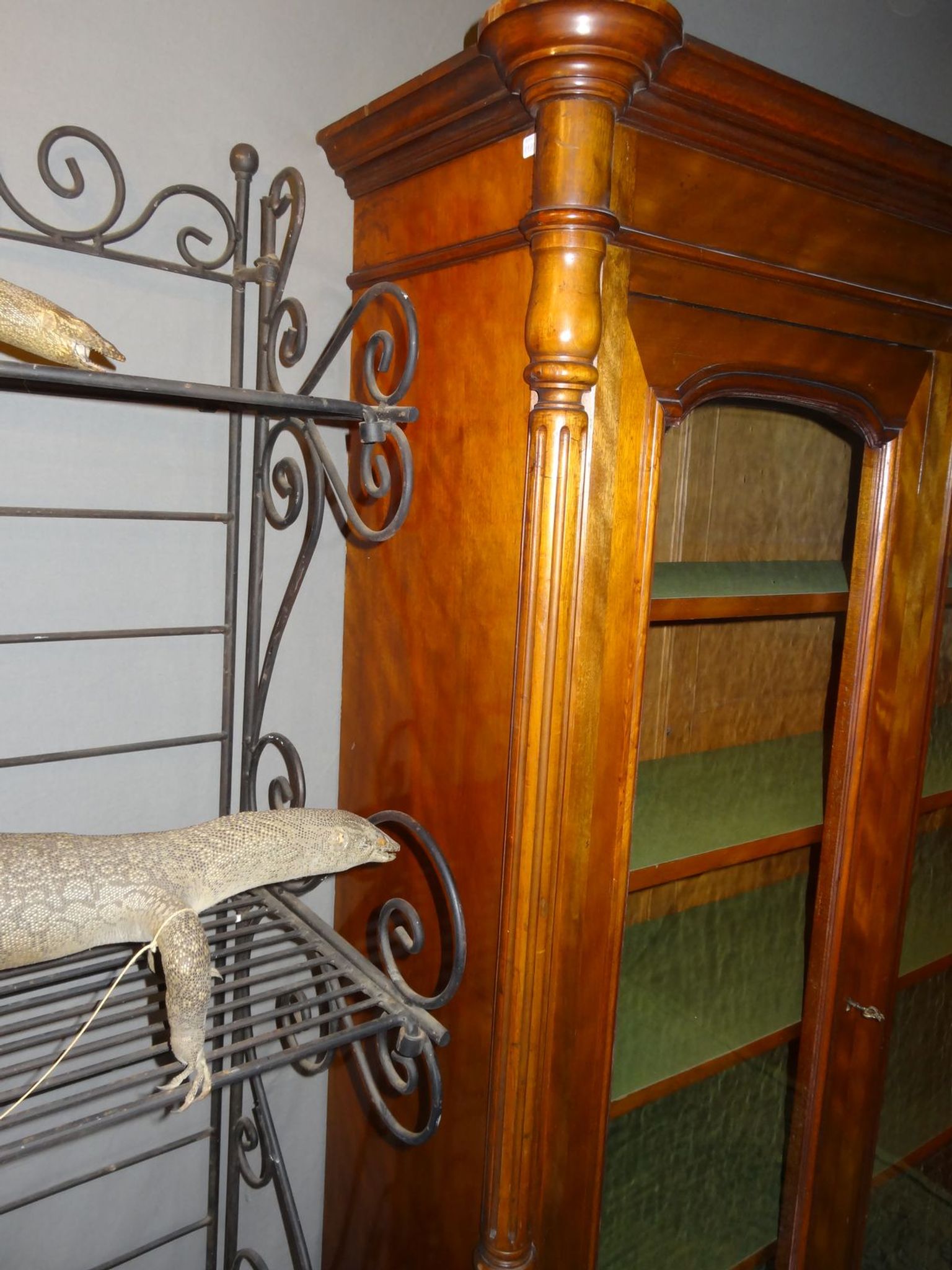 English bookcase 19th