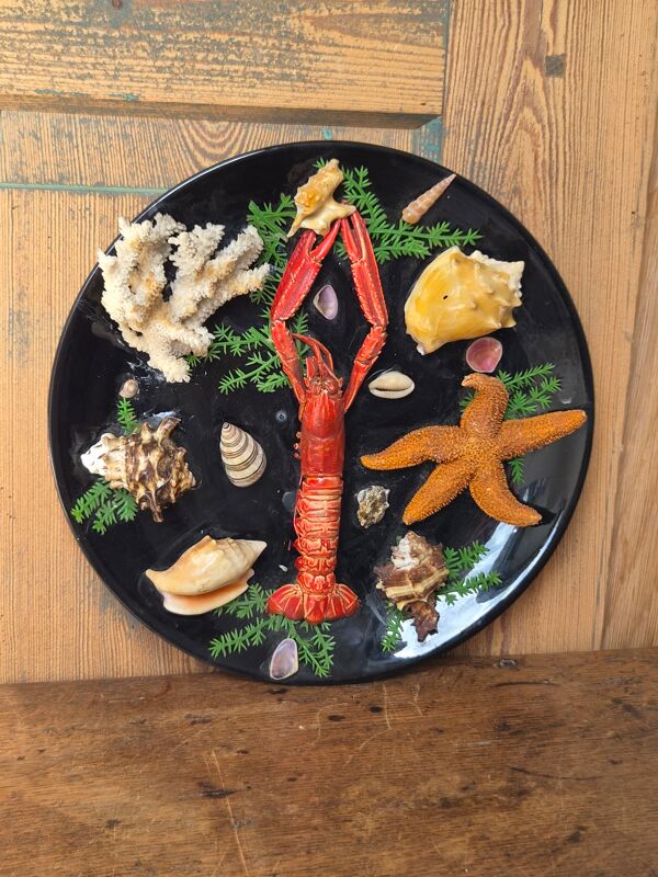 Insolite assiette murale vintage fruits de mer cabinet de curiosités