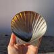 Silver-plated metal shell bowl