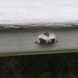 Vintage coffee table