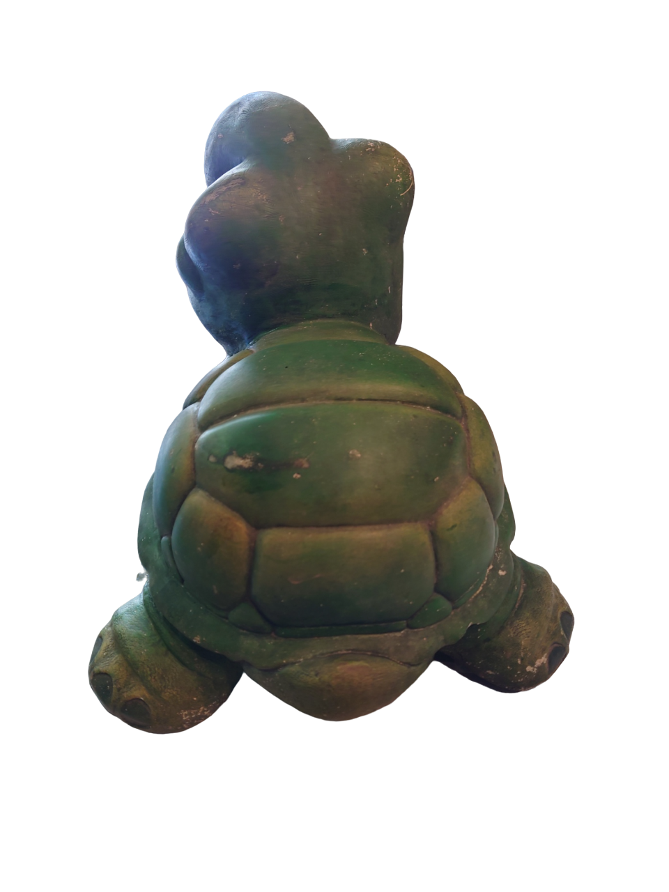 Green turtle in concrete