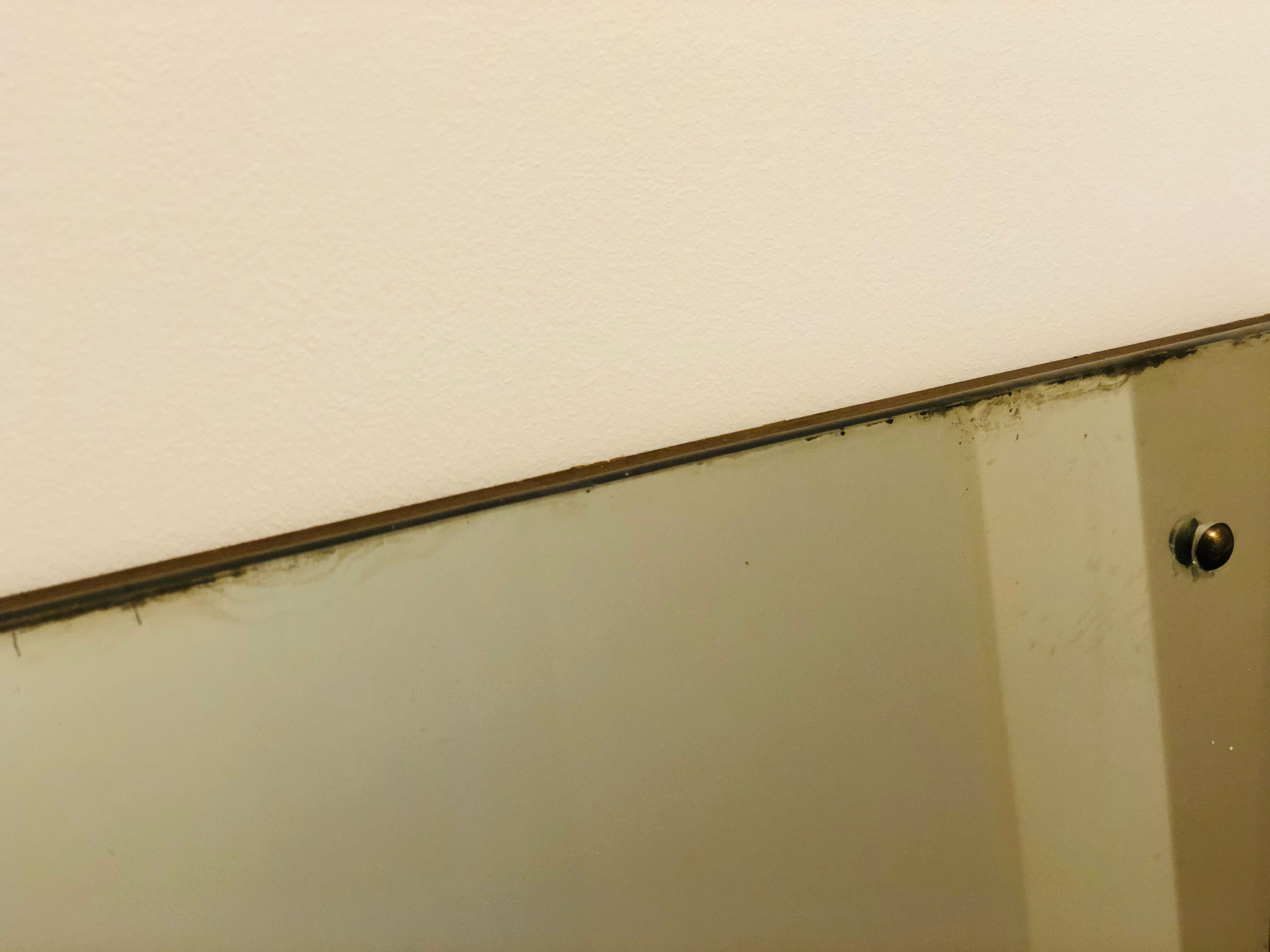 Scandinavian teak mirror 151x48cm