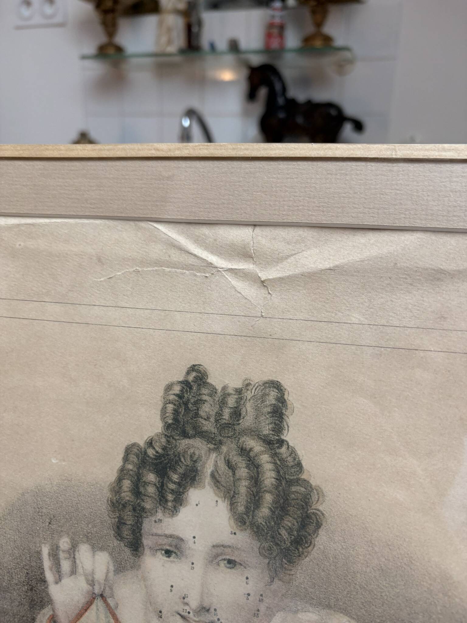 Gravure 19th Century Anatomy Face Woman ANGELO ZAFFONATO "Five Senses"