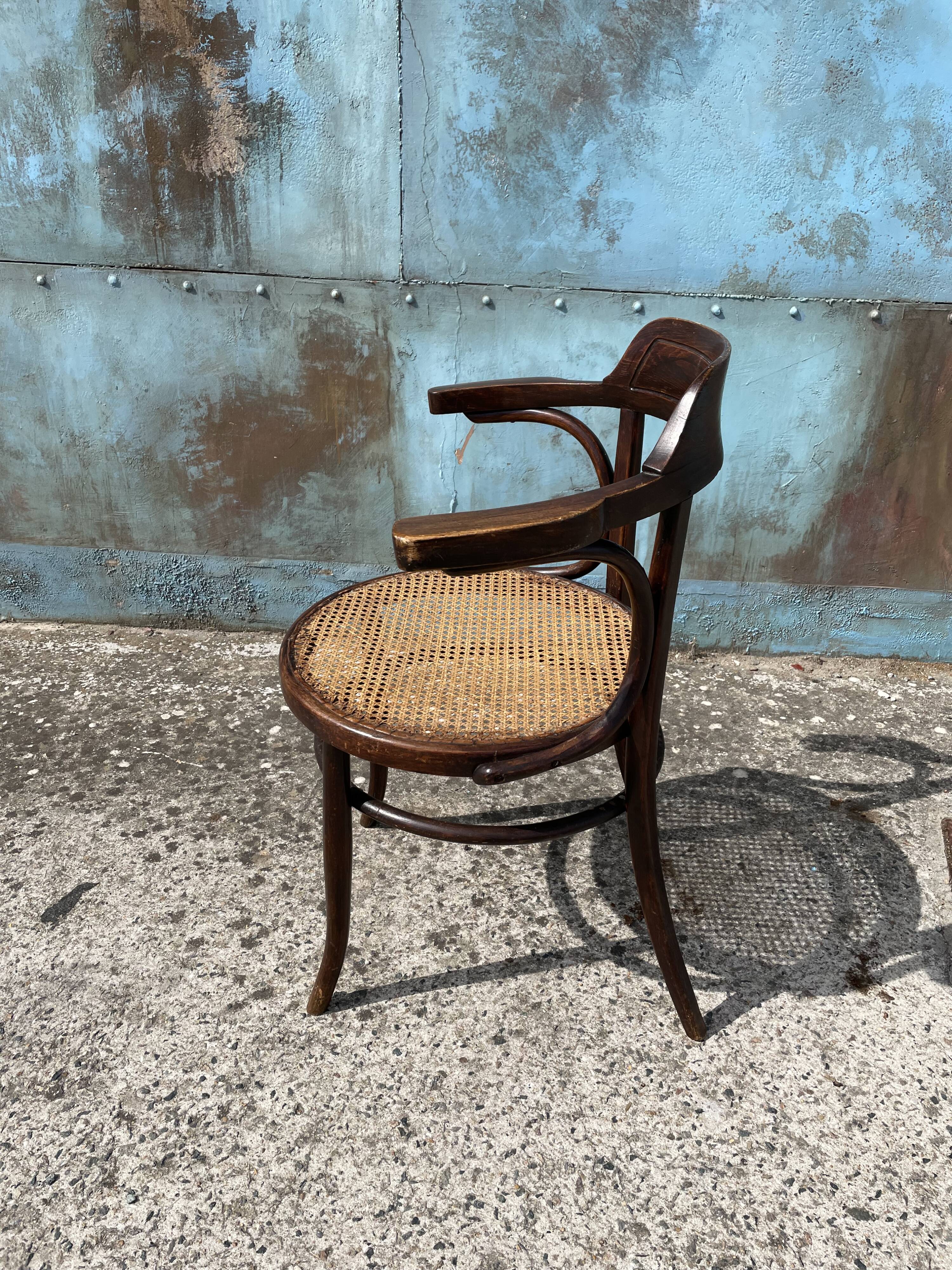 Canned office chair MUNDUS 1900