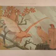 Art nouveau lithograph 'Aigles' – eagles, M.P. Verneuil, 1897