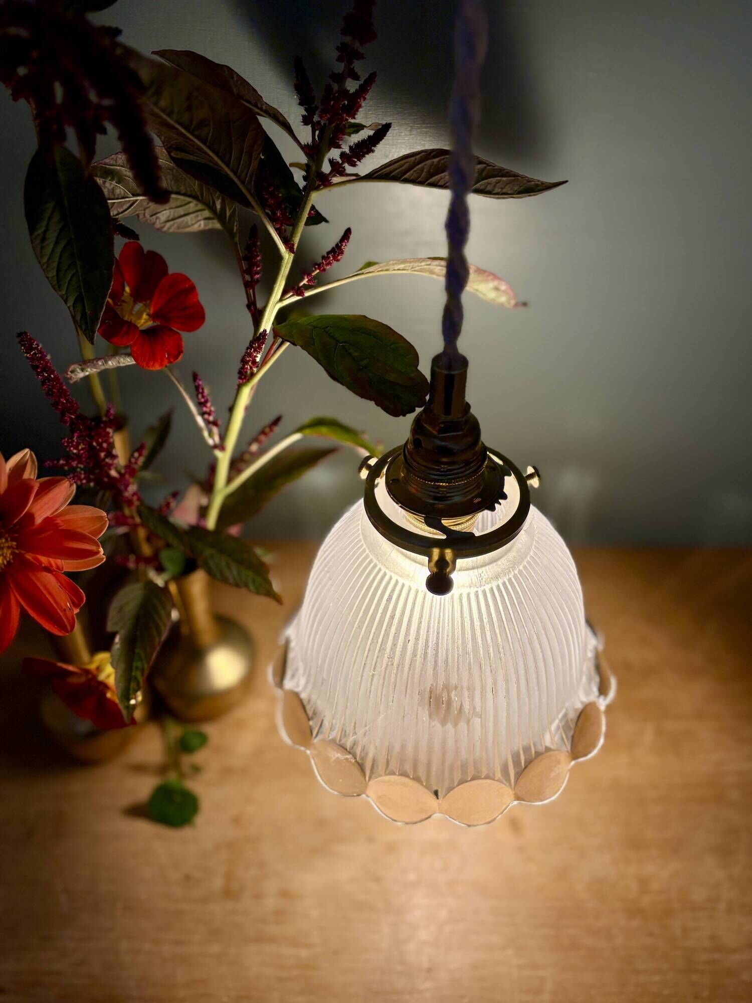 Vintage tulip suspension in frosted glass (TFB1)