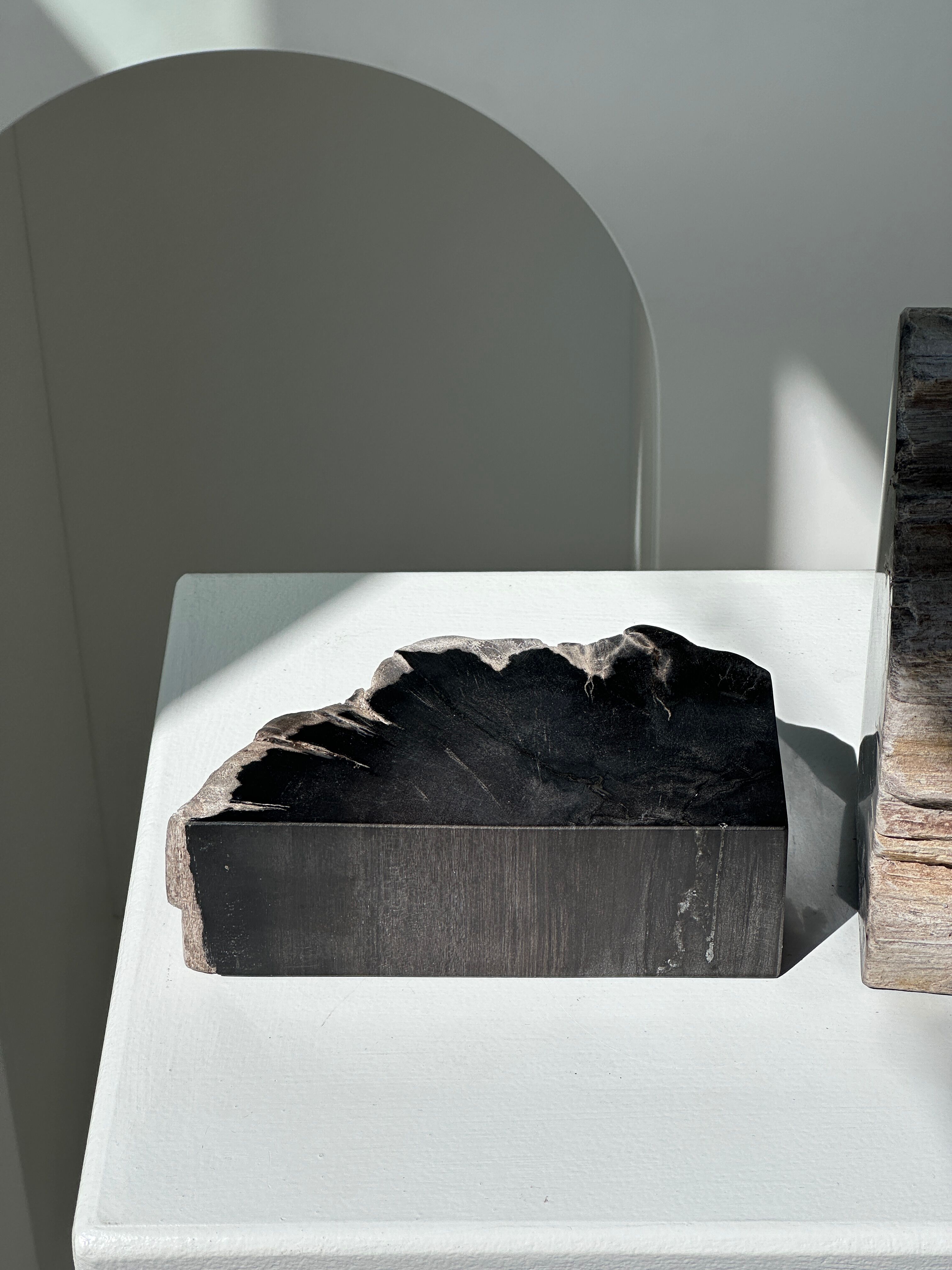 Black petrified wood bookend H17 L17 P6