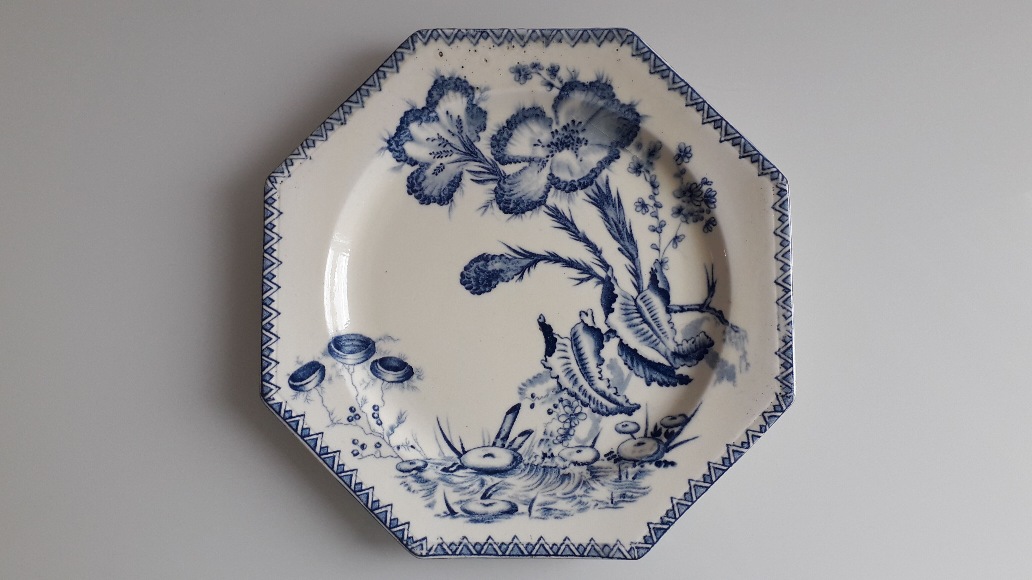 Duo of plates of clairfontaine model INDIANA