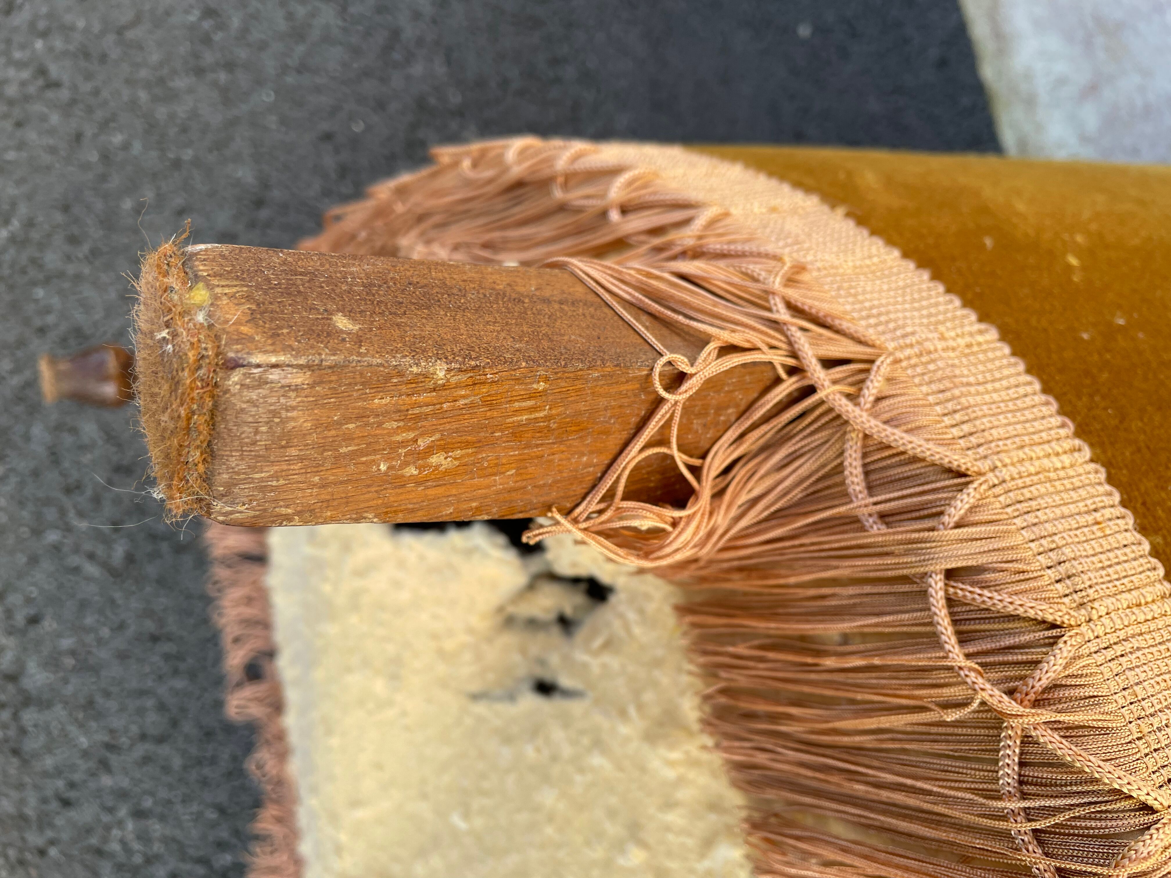 Padded golden yellow velvet toad