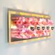 XXL 70s wall lamp by Albano Poli for Poliarte