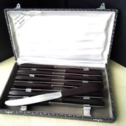 Box of 12 vintage table knives in stainless steel and brown bakelite