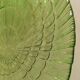 Oval glass shell-shaped dish
