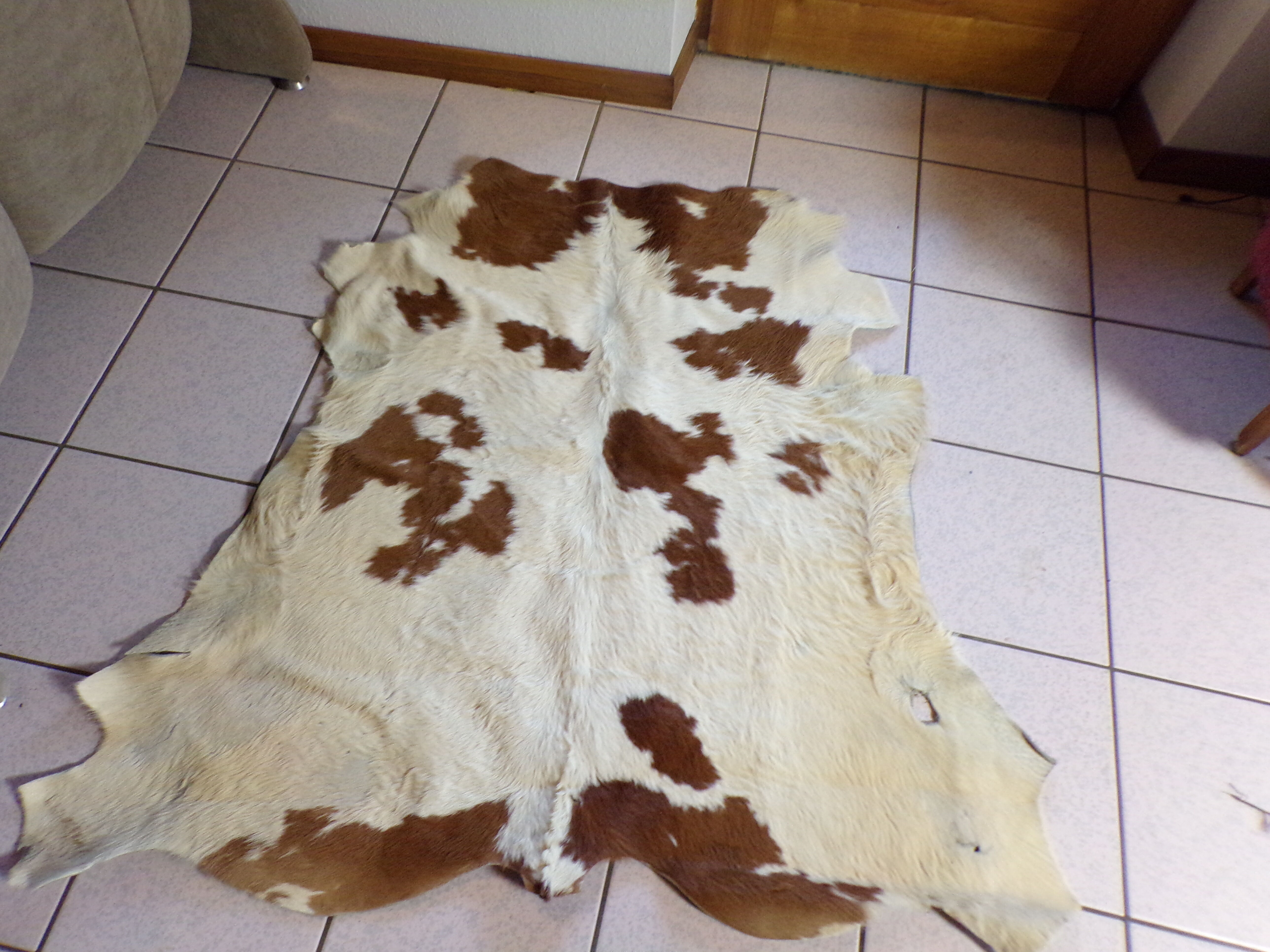 Vintage bovine skin