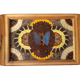 Butterfly wood top