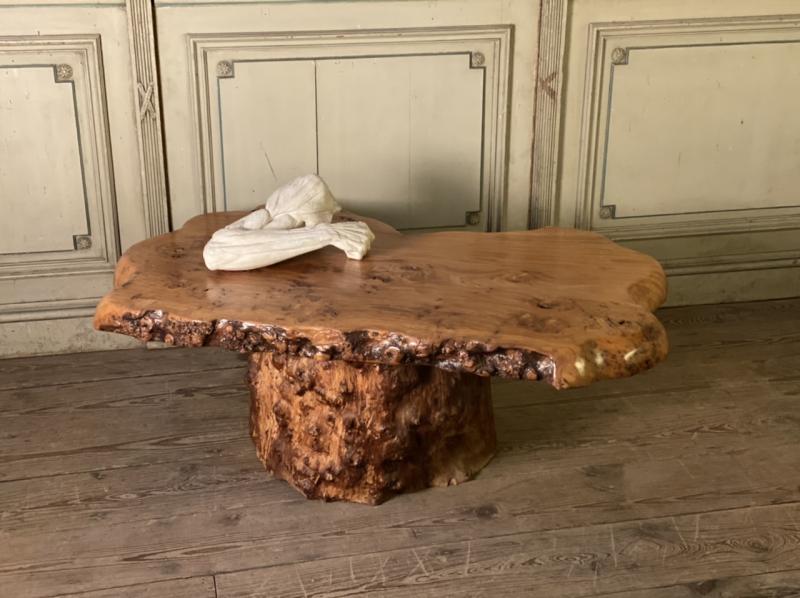 Salon table in racine vernie