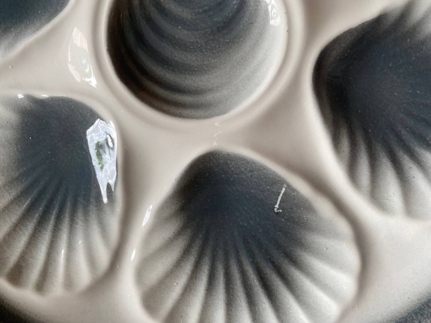 Assiettes coquillage