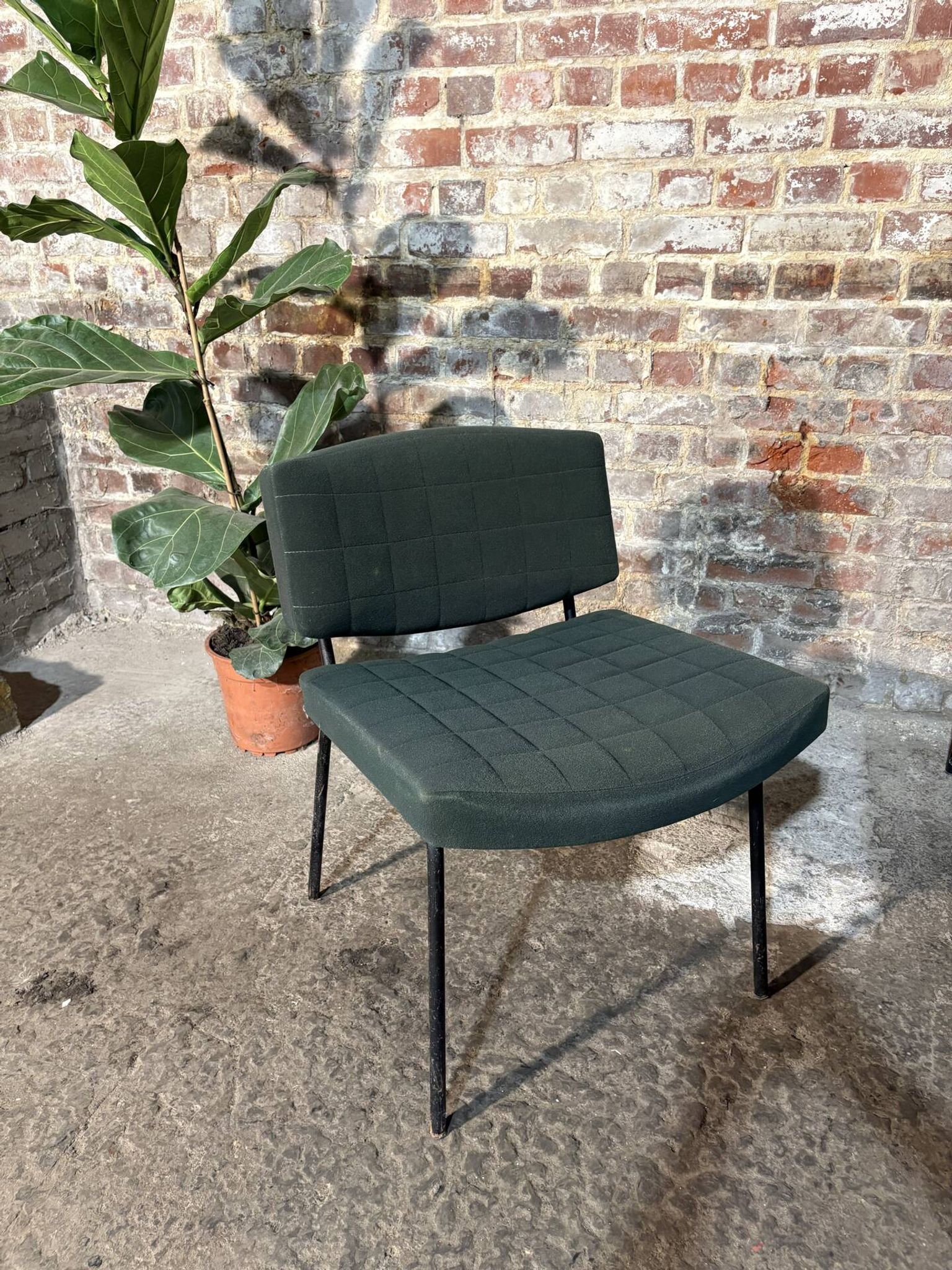 Pair of armchairs designed by Pierre Guariche for Meurop.