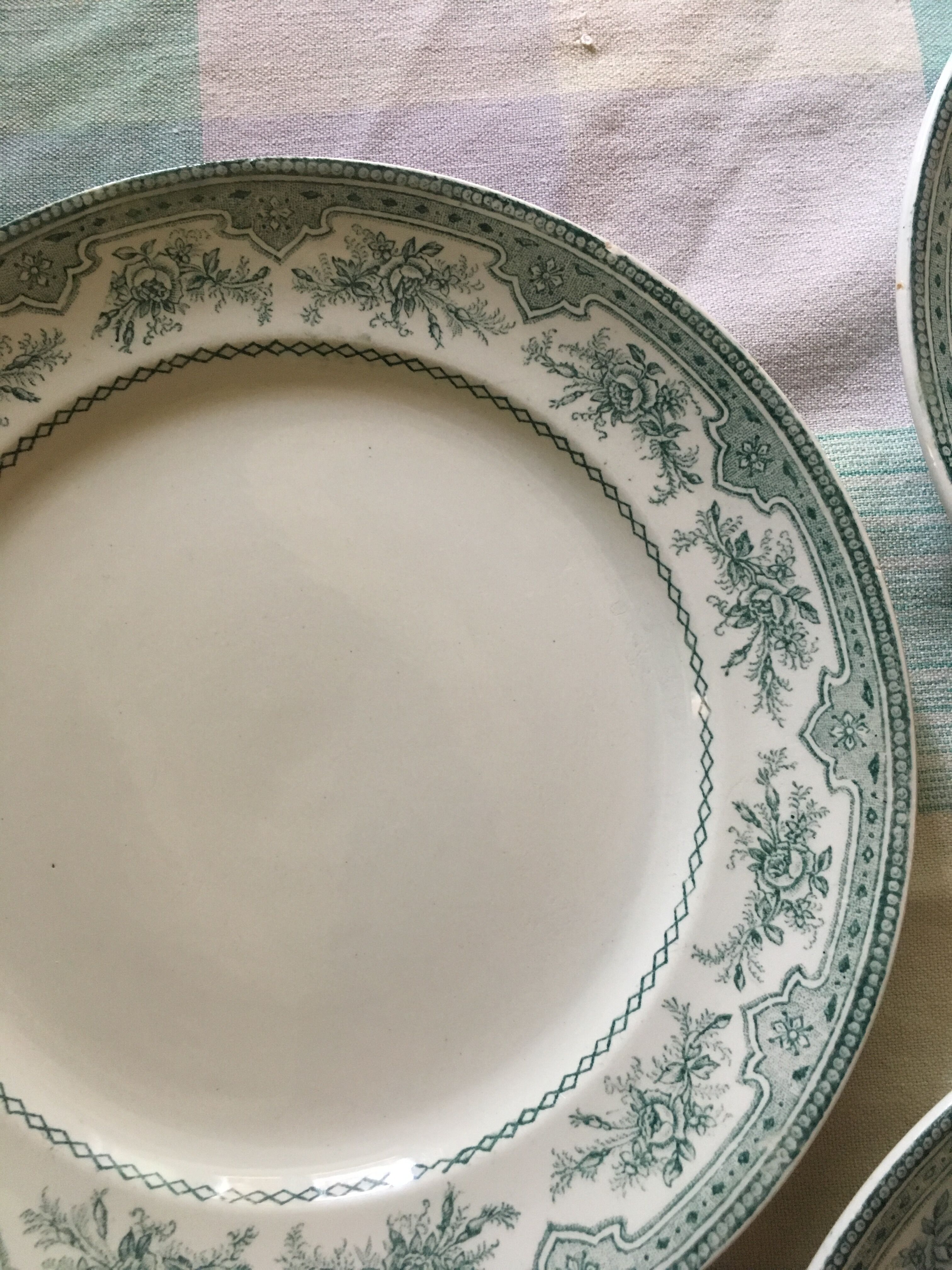 Set of flat plates Roses Mousses