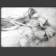Dibujo de tulipanes a carbono sobre papel. Flowers sketch.