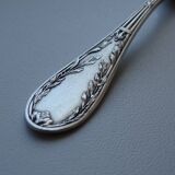 12 dessert spoons Apollo silver metal 1920 in case