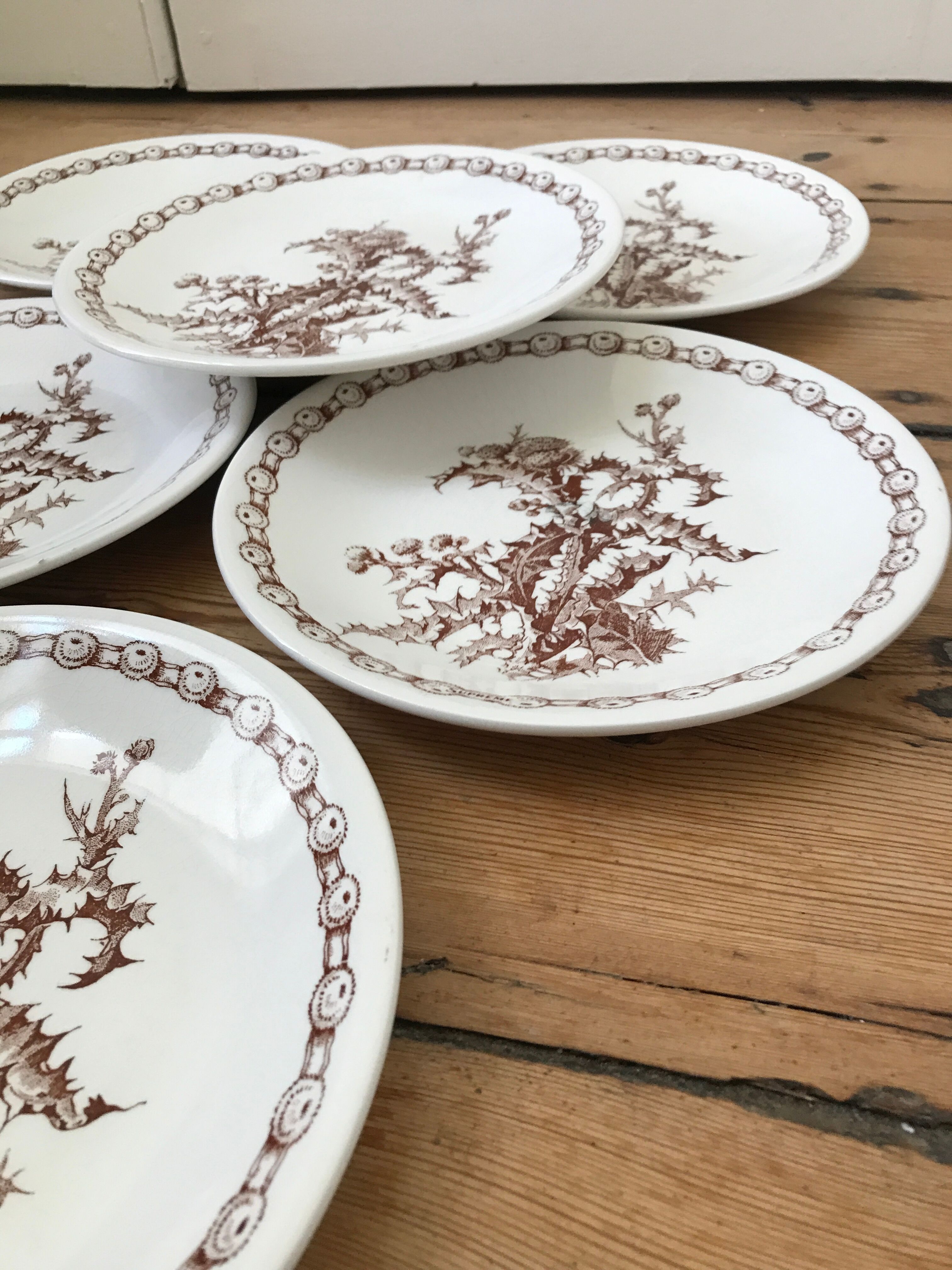 Series of 6 flat plates old model "Thistles" Gien