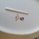Diamond dish in Limoges porcelain decoration gallant scene
