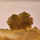 Dreamlike oil painting on canvas by Jean Guy Berlanger