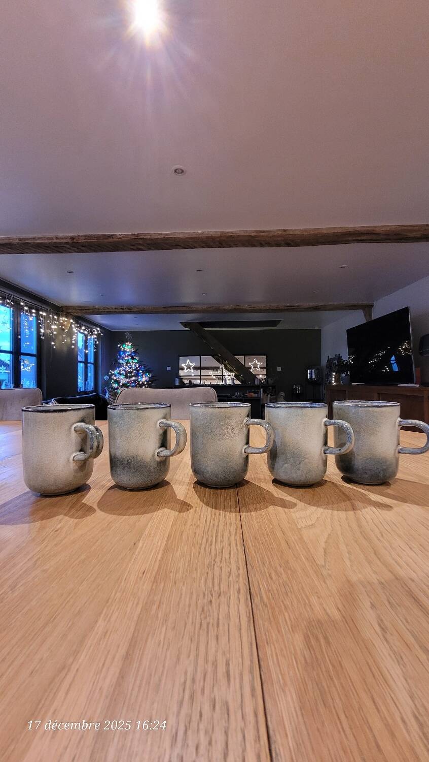 5 mugs bleu/gris