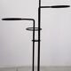 Black iron plant rack 50s