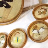 Wicker tray and butterflies