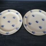 Suite of 6 flat plates