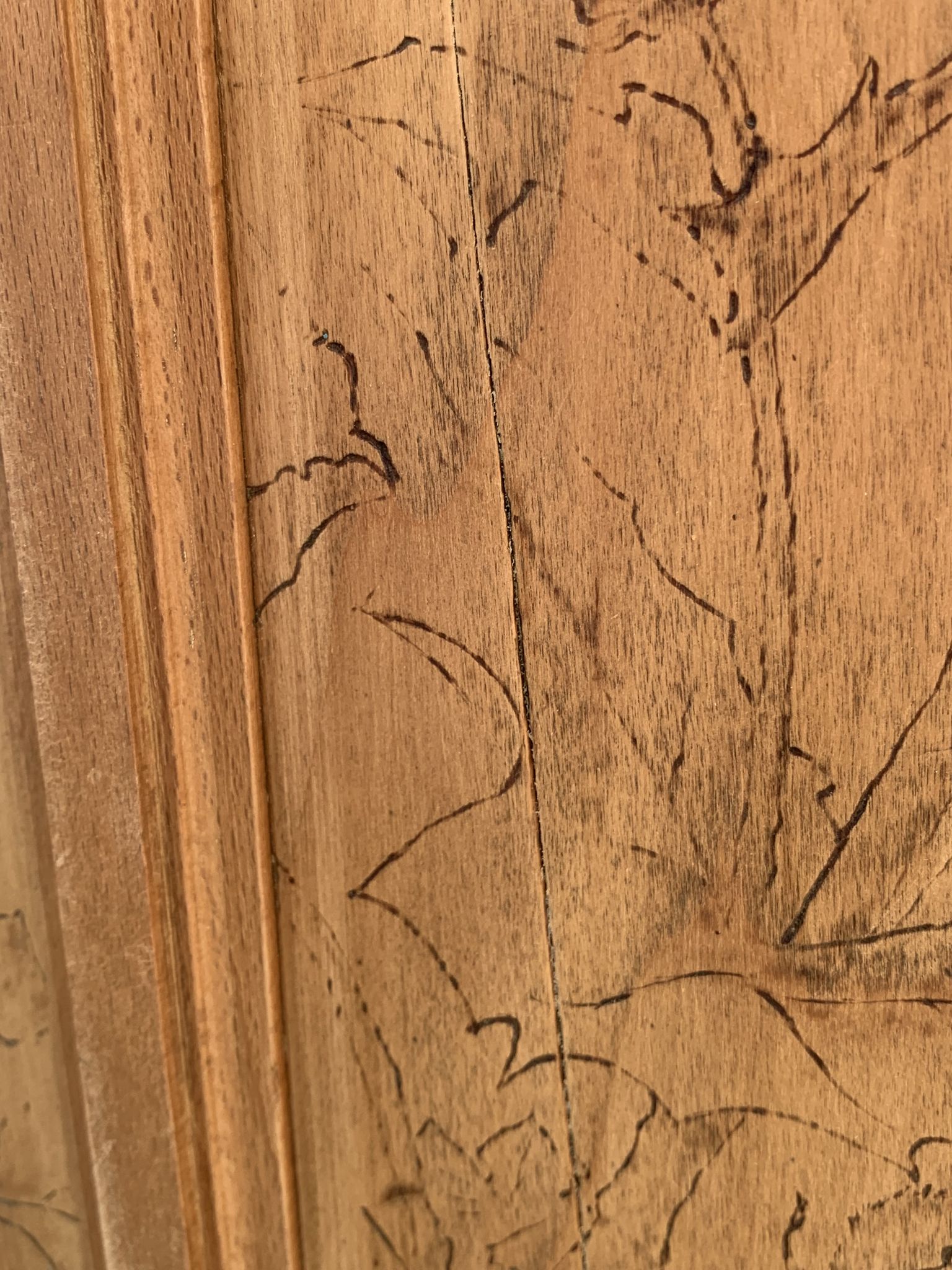Parisian cabinet glazed raw wood nymphs and carved art nouveau decorations