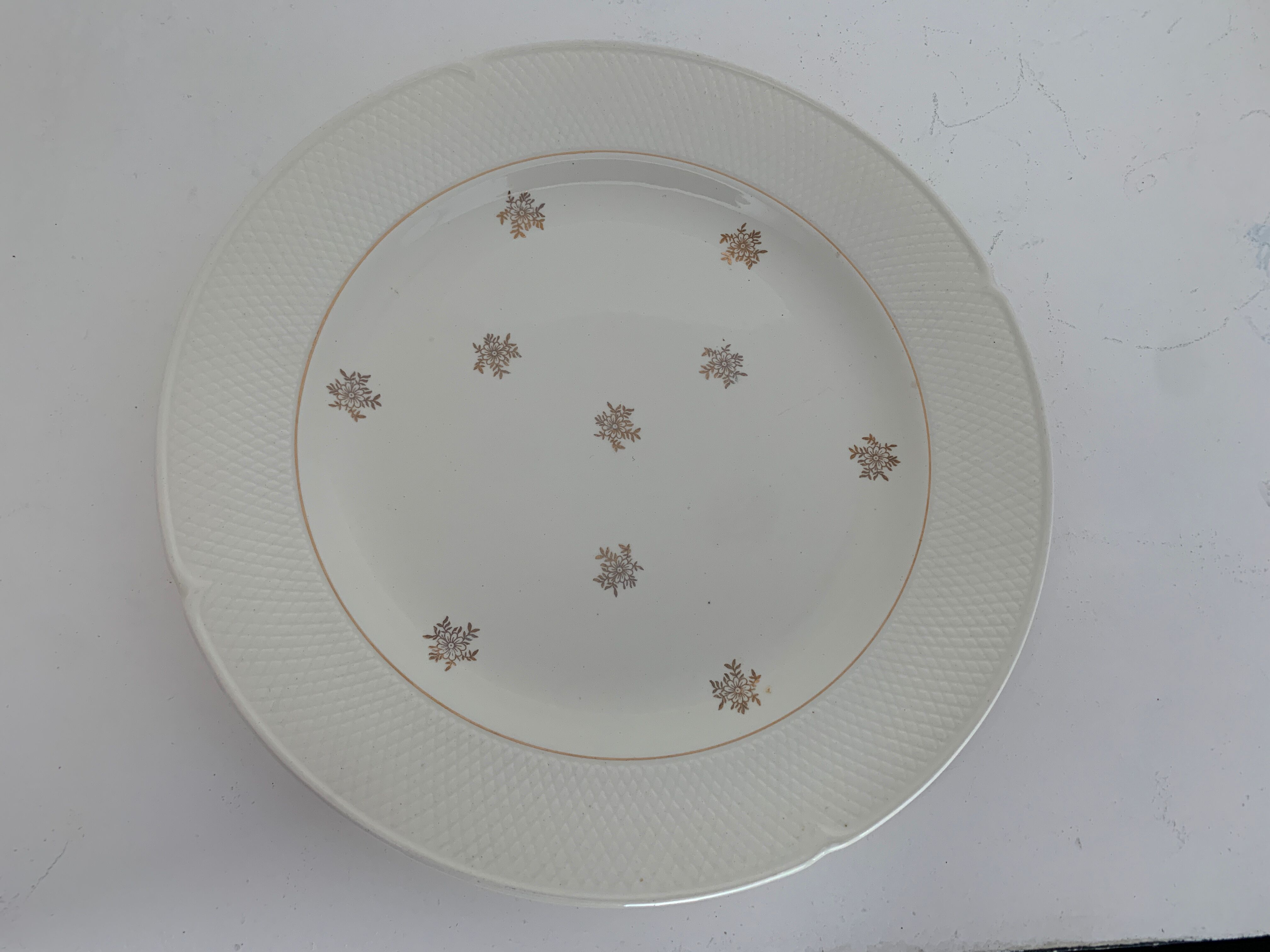 11 Salins flat plates