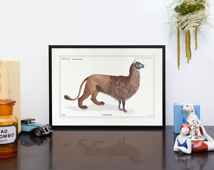Chimera lithography engraving animal - the alpalion