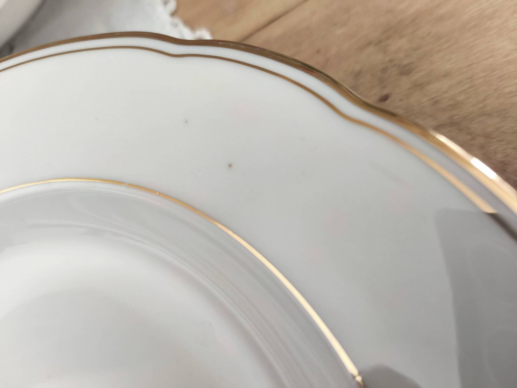 Set of 6 deep plates in fine porcelain from Bohemia with a gold rim.