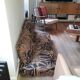 2 armchairs bamboo fabric